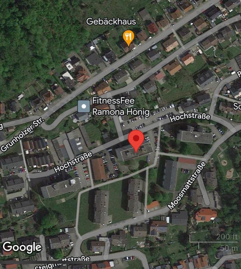 Grosse Und Helle Ferien Wohnung Mit Parkplatzen Laufenburg Eksteriør bilde
